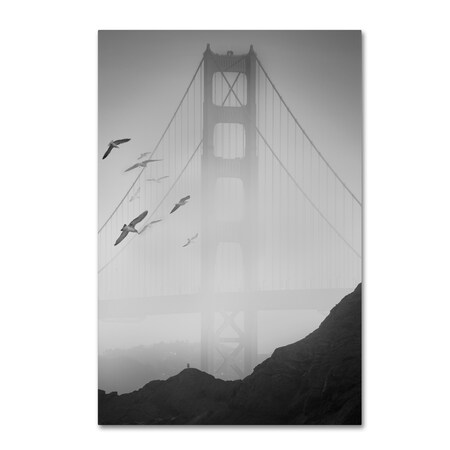 Moises Levy 'Golden Gate Pier And Birds I' Canvas Art,30x47